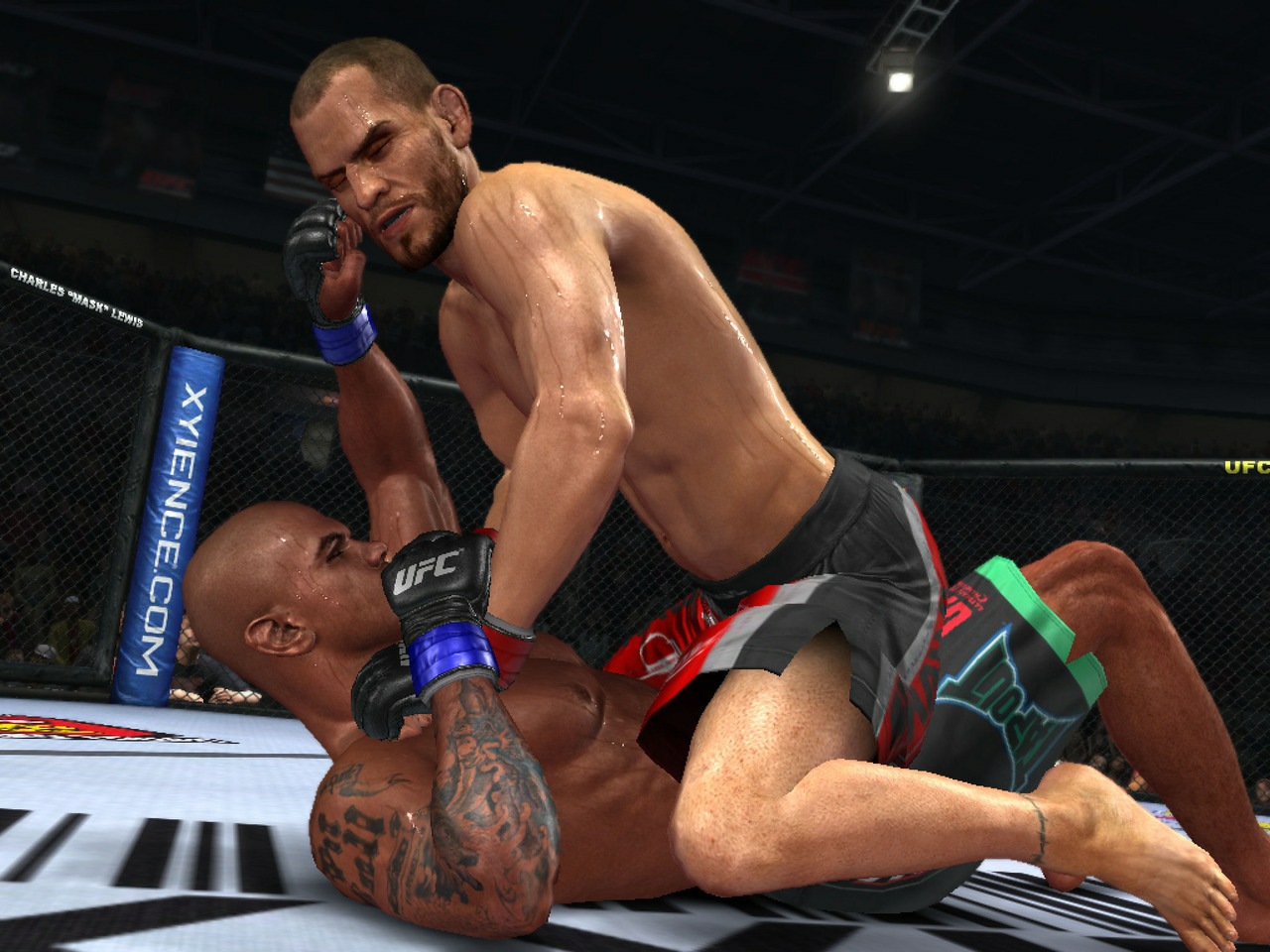 UFC Undisputed 2010 - Imagen 25